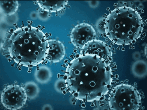 Influenza Vaccine Containing Homologous Neuraminidase Can Reduce Disease