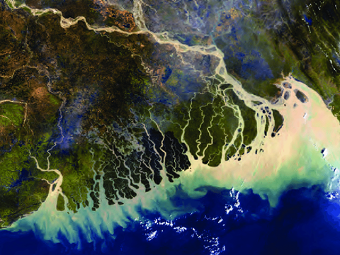 Coastal Ecosystem of Bangladesh Mapped – Salinity and Nutrients Major Drivers of Phytoplankton