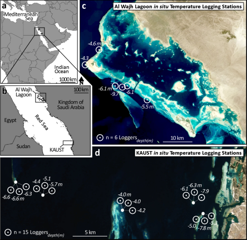 Locations of 21 in-situ Star-Oddi CTD seawater temperature loggers