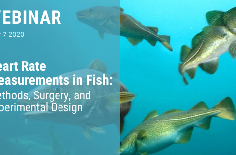 Webinar on Heart Rate Measurements in Fish: Methods, Surgery, and Experimental Design