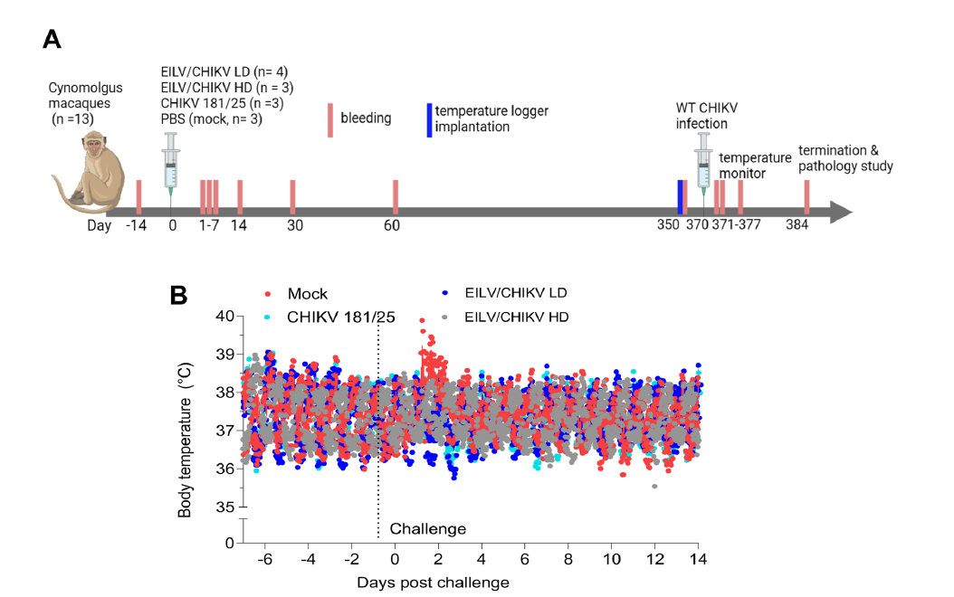 he temperature variations during the first study challenge period