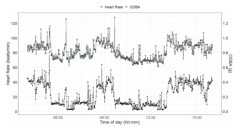 Fig. 2 from the article shows a correlation between OBDA and heart rate values.