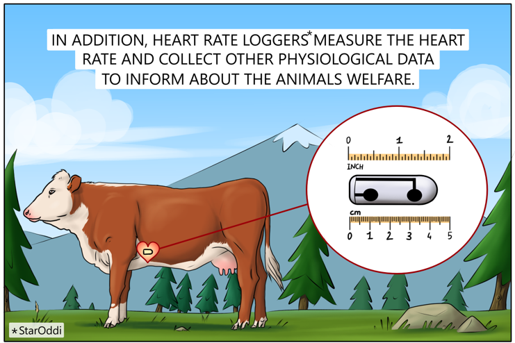 Part of a comic from the research team at Innland University, text by Laura J. Niccolai, illustrated by Loïc Lemiere.